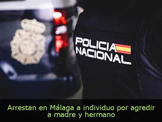 Arrestan en Málaga a individuo por agredir a madre y hermano 