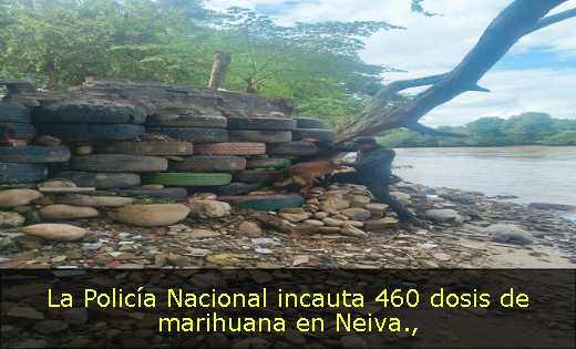 La Policía Nacional incauta 460 dosis de marihuana en Neiva