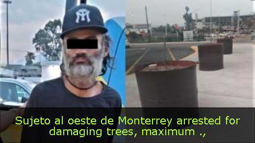 Sujeto al oeste de Monterrey arrested for damaging trees, maximum 