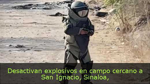 Desactivan explosivos en campo cercano a San Ignacio, Sinaloa
