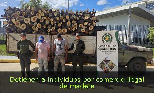 Detienen a individuos por comercio ilegal de madera 