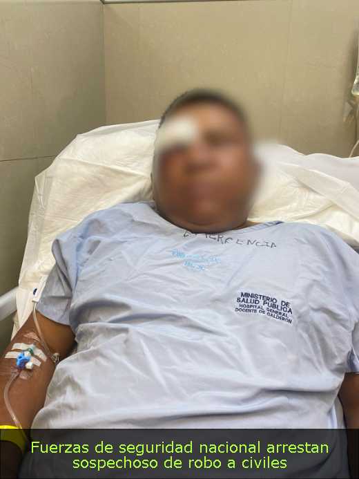 Fuerzas de seguridad nacional arrestan sospechoso de robo a civiles 