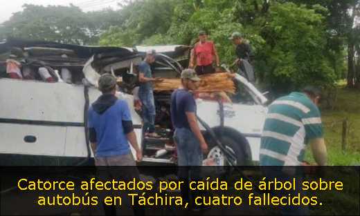 Catorce afectados por caída de árbol sobre autobús en Táchira, cuatro fallecidos. 
