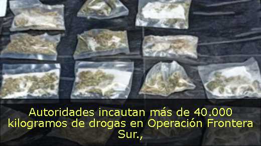 Autoridades incautan más de 40.000 kilogramos de drogas en Operación Frontera Sur
