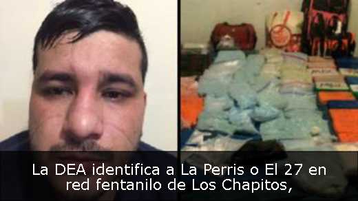 La DEA identifica a La Perris o El 27 en red fentanilo de Los Chapitos