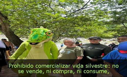 Prohibido comercializar vida silvestre: no se vende, ni compra, ni consume
