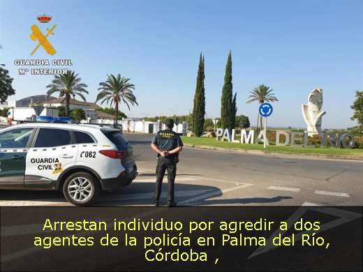 Arrestan individuo por agredir a dos agentes de la policía en Palma del Río, Córdoba 