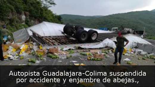 Autopista Guadalajara-Colima suspendida por accidente y enjambre de abejas