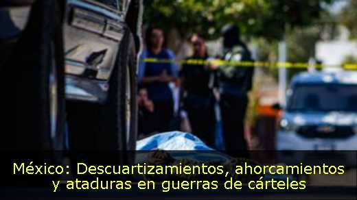 México: Descuartizamientos, ahorcamientos y ataduras en guerras de cárteles 