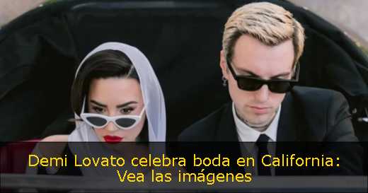 Demi Lovato celebra boda en California: Vea las imágenes<p>