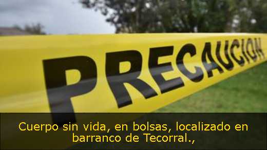 Cuerpo sin vida, en bolsas, localizado en barranco de Tecorral