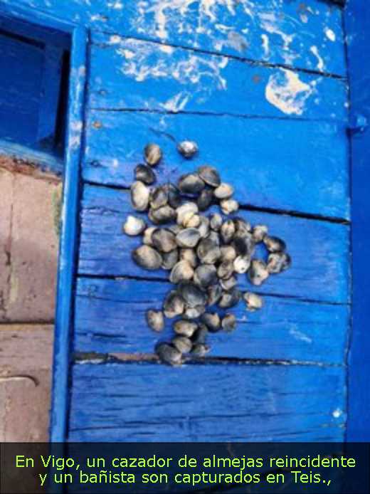 En Vigo, un cazador de almejas reincidente y un bañista son capturados en Teis