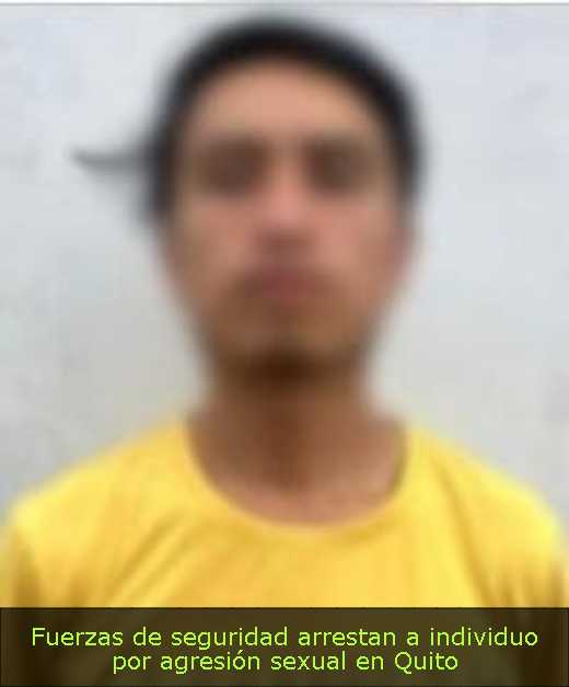 Fuerzas de seguridad arrestan a individuo por agresión sexual en Quito 