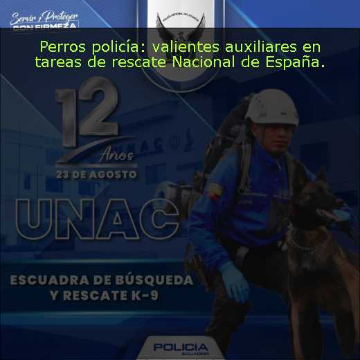 Perros policía: valientes auxiliares en tareas de rescate Nacional de España