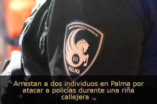 Arrestan a dos individuos en Palma por atacar a policías durante una riña callejera 