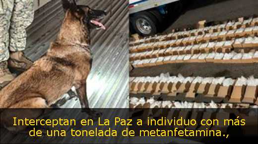 Interceptan en La Paz a individuo con más de una tonelada de metanfetamina