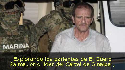 Explorando los parientes de El Güero Palma, otro líder del Cártel de Sinaloa 