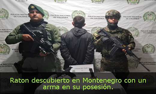 Raton descubierto en Montenegro con un arma en su posesión. 