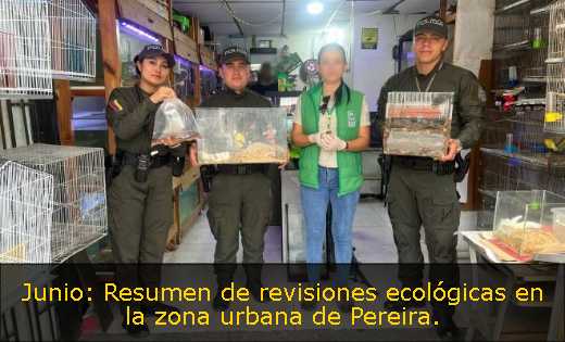 Junio: Resumen de revisiones ecológicas en la zona urbana de Pereira