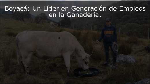 Boyacá: Un Líder en Generación de Empleos en la Ganadería