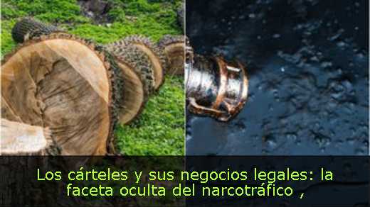 Los cárteles y sus negocios legales: la faceta oculta del narcotráfico 