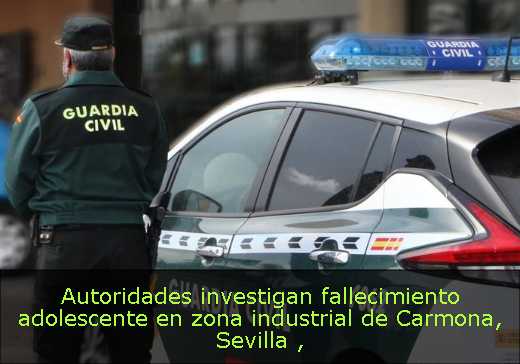Autoridades investigan fallecimiento adolescente en zona industrial de Carmona, Sevilla Autoridades investigan fallecimiento adolescente en zona industrial de Carmona, Sevilla