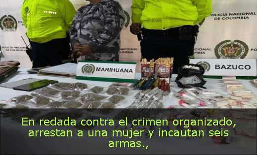 En redada contra el crimen organizado, arrestan a una mujer y incautan seis armas