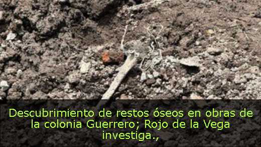 Descubrimiento de restos óseos en obras de la colonia Guerrero; Rojo de la Vega investiga