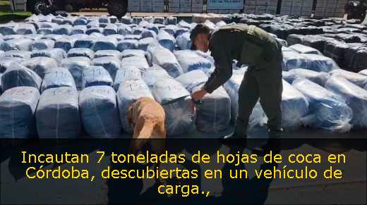 Incautan 7 toneladas de hojas de coca en Córdoba, descubiertas en un vehículo de carga