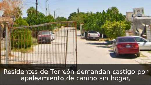 Residentes de Torreón demandan castigo por apaleamiento de canino sin hogar