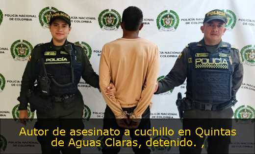 Autor de asesinato a cuchillo en Quintas de Aguas Claras, detenido. 
