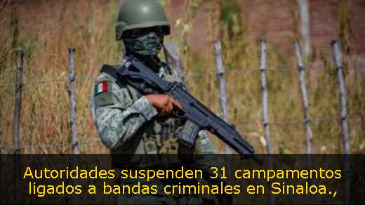 Autoridades suspenden 31 campamentos ligados a bandas criminales en Sinaloa