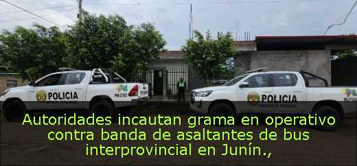 Autoridades incautan grama en operativo contra banda de asaltantes de bus interprovincial en Junín