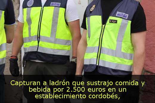 Capturan a ladrón que sustrajo comida y bebida por 2.500 euros en un establecimiento cordobés