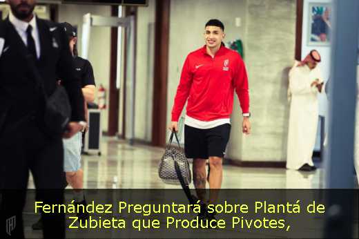 Fernández Preguntará sobre Plantá de Zubieta que Produce Pivotes
