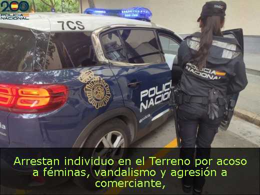 Arrestan individuo en el Terreno por acoso a féminas, vandalismo y agresión a comerciante