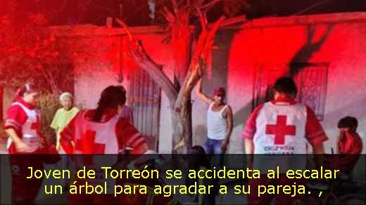 Joven de Torreón se accidenta al escalar un árbol para agradar a su pareja. 