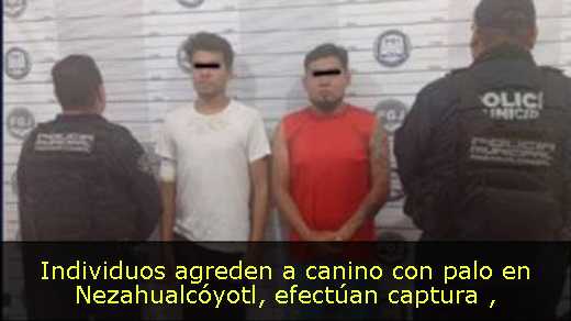 Individuos agreden a canino con palo en Nezahualcóyotl, efectúan captura 