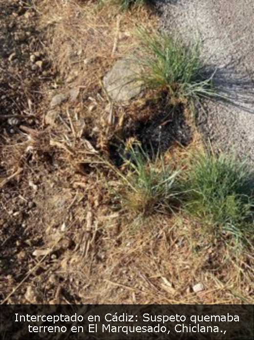 Interceptado en Cádiz: Suspeto quemaba terreno en El Marquesado, Chiclana