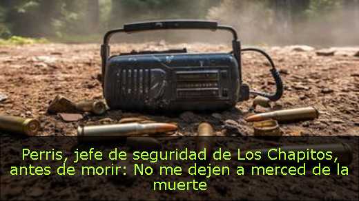 Perris, jefe de seguridad de Los Chapitos, antes de morir: No me dejen a merced de la muerte
