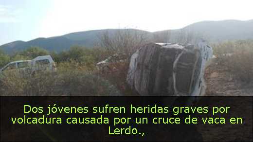 Dos jóvenes sufren heridas graves por volcadura causada por un cruce de vaca en Lerdo