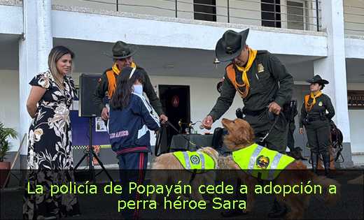 La policía de Popayán cede a adopción a perra héroe Sara 