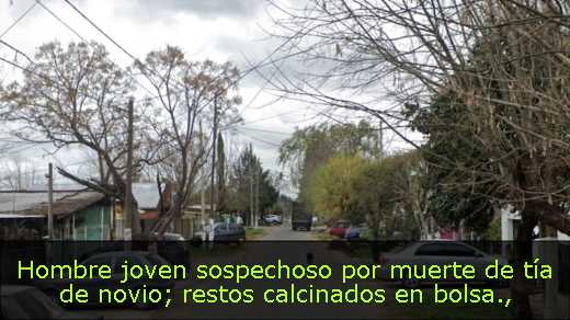 Hombre joven sospechoso por muerte de tía de novio; restos calcinados en bolsa