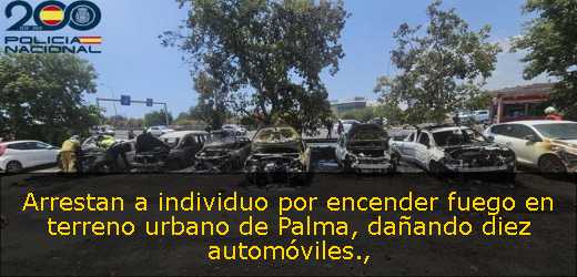 Arrestan a individuo por encender fuego en terreno urbano de Palma, dañando diez automóviles