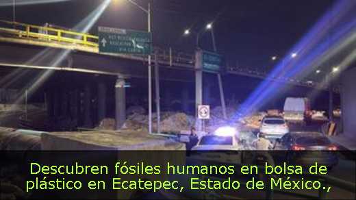 Descubren fósiles humanos en bolsa de plástico en Ecatepec, Estado de México