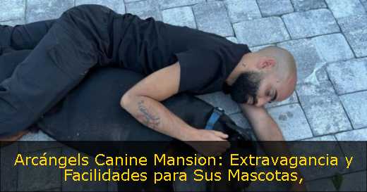 Arcángels Canine Mansion: Extravagancia y Facilidades para Sus Mascotas