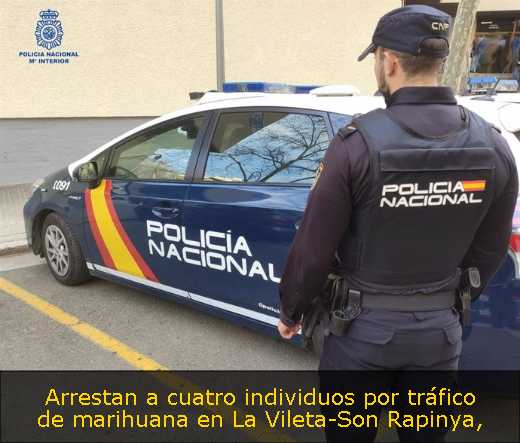 Arrestan a cuatro individuos por tráfico de marihuana en La Vileta-Son Rapinya