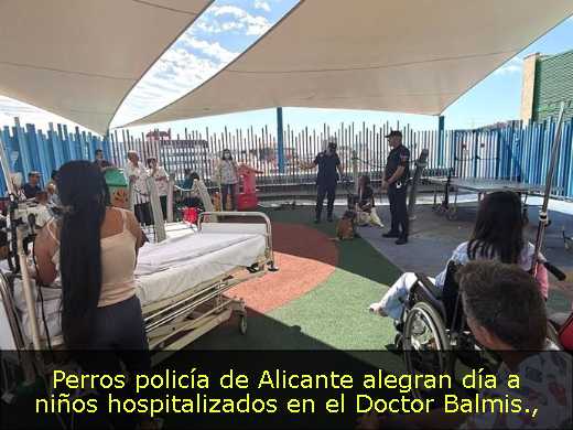 Perros policía de Alicante alegran día a niños hospitalizados en el Doctor Balmis