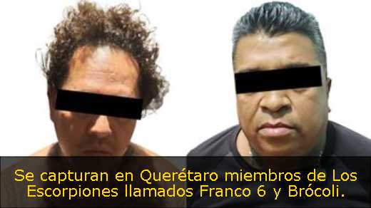 Se capturan en Querétaro miembros de Los Escorpiones llamados Franco 6 y Brócoli. 