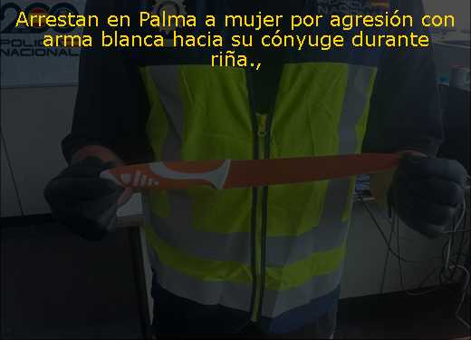 Arrestan en Palma a mujer por agresión con arma blanca hacia su cónyuge durante riña